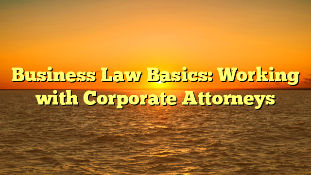 Business Law Basics: Working with Corporate Attorneys